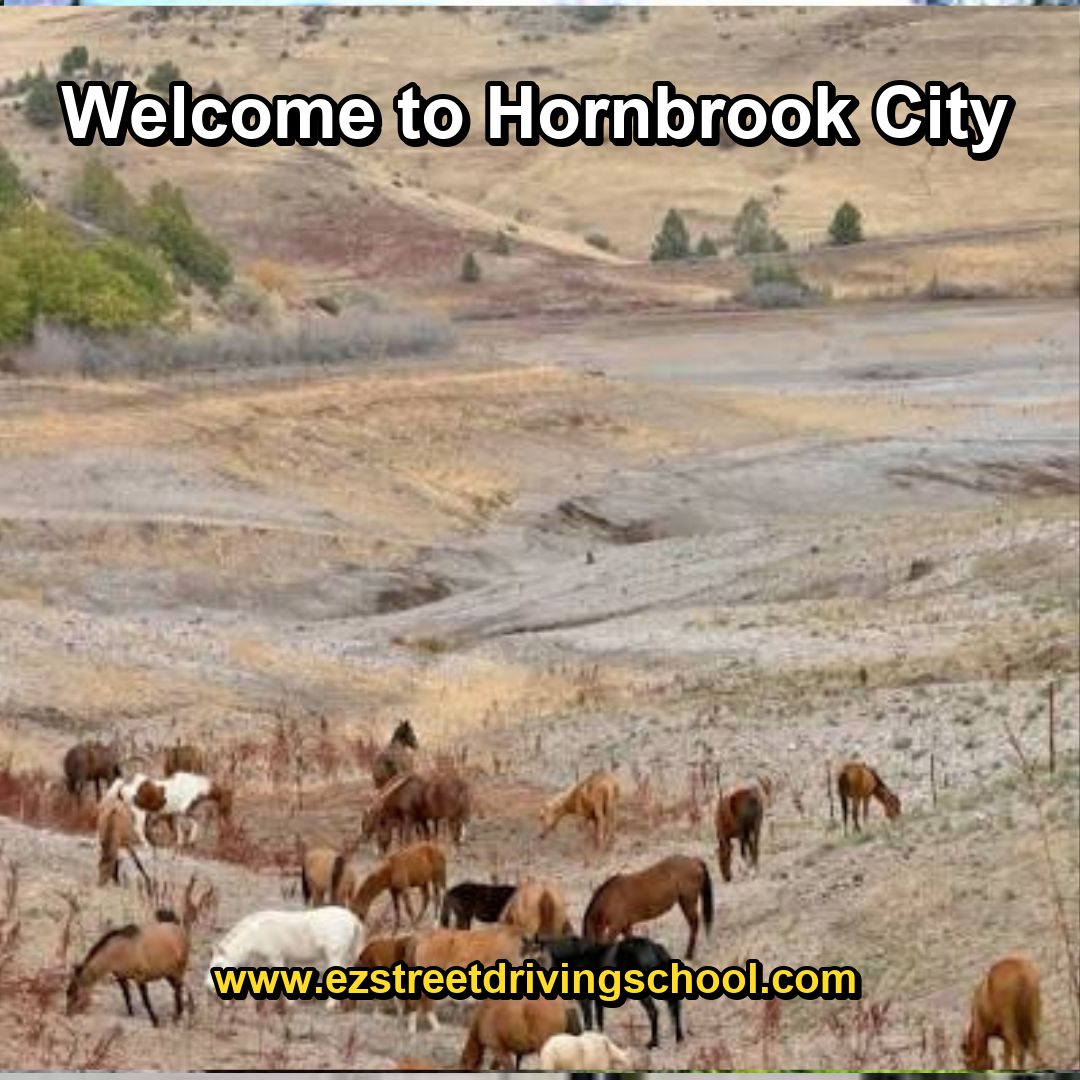 Driving Lessons in Hornbrook