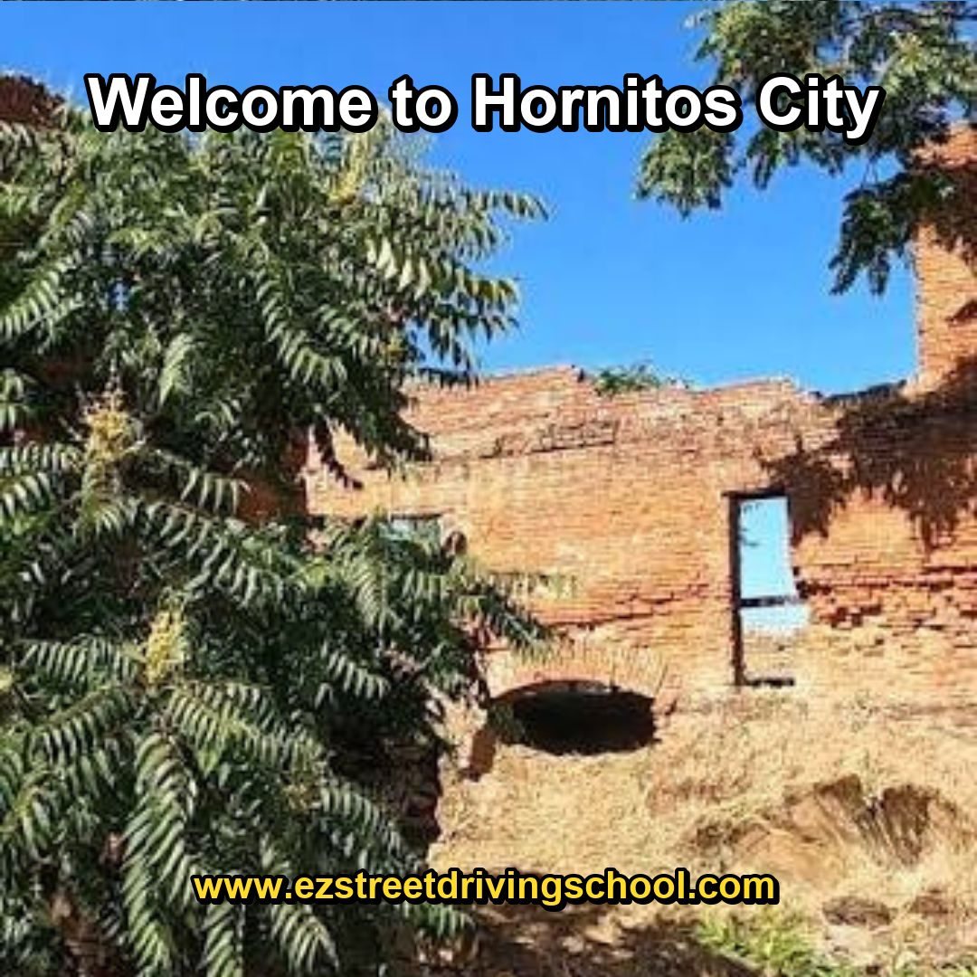 Driving Lessons in Hornitos