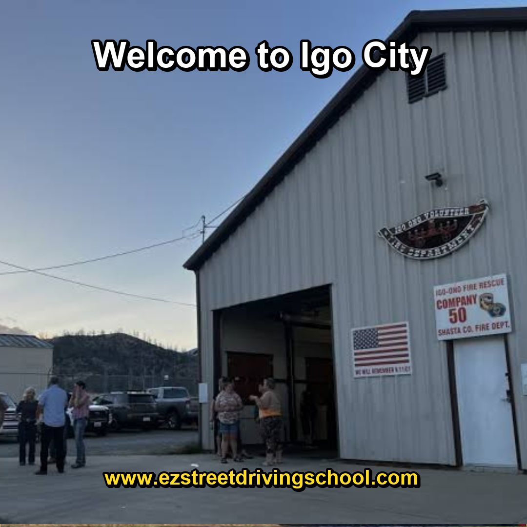 Driving Lessons in Igo