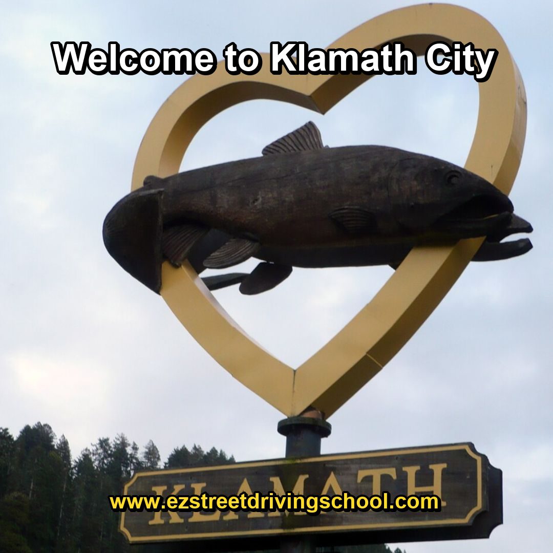 Driving Lessons in Klamath