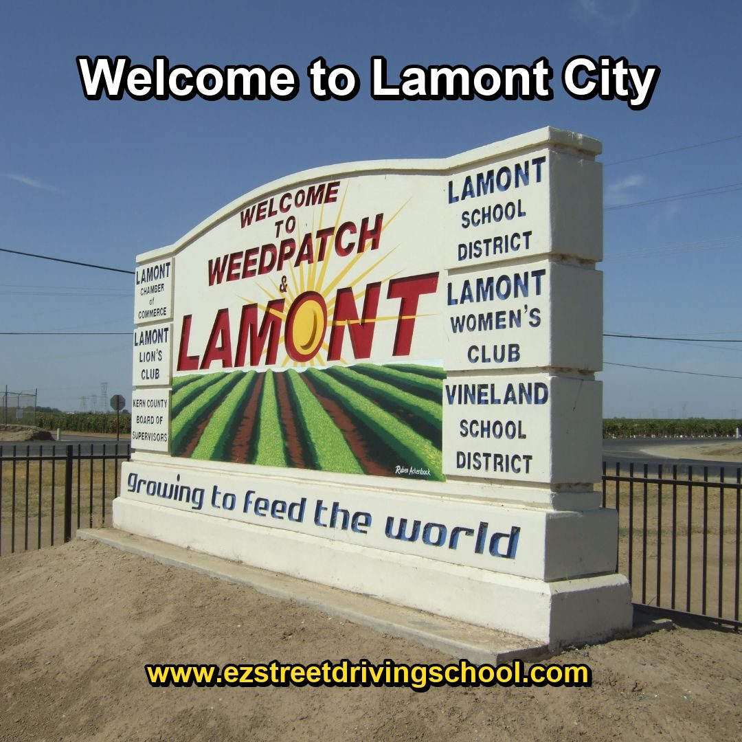 Driving Lessons in Lamont