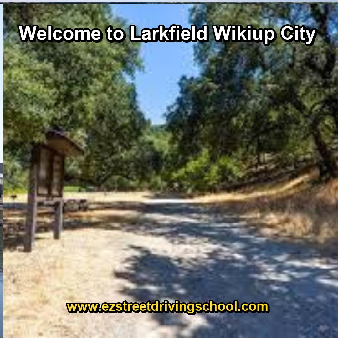 Driving Lessons in Larkfield-Wikiup