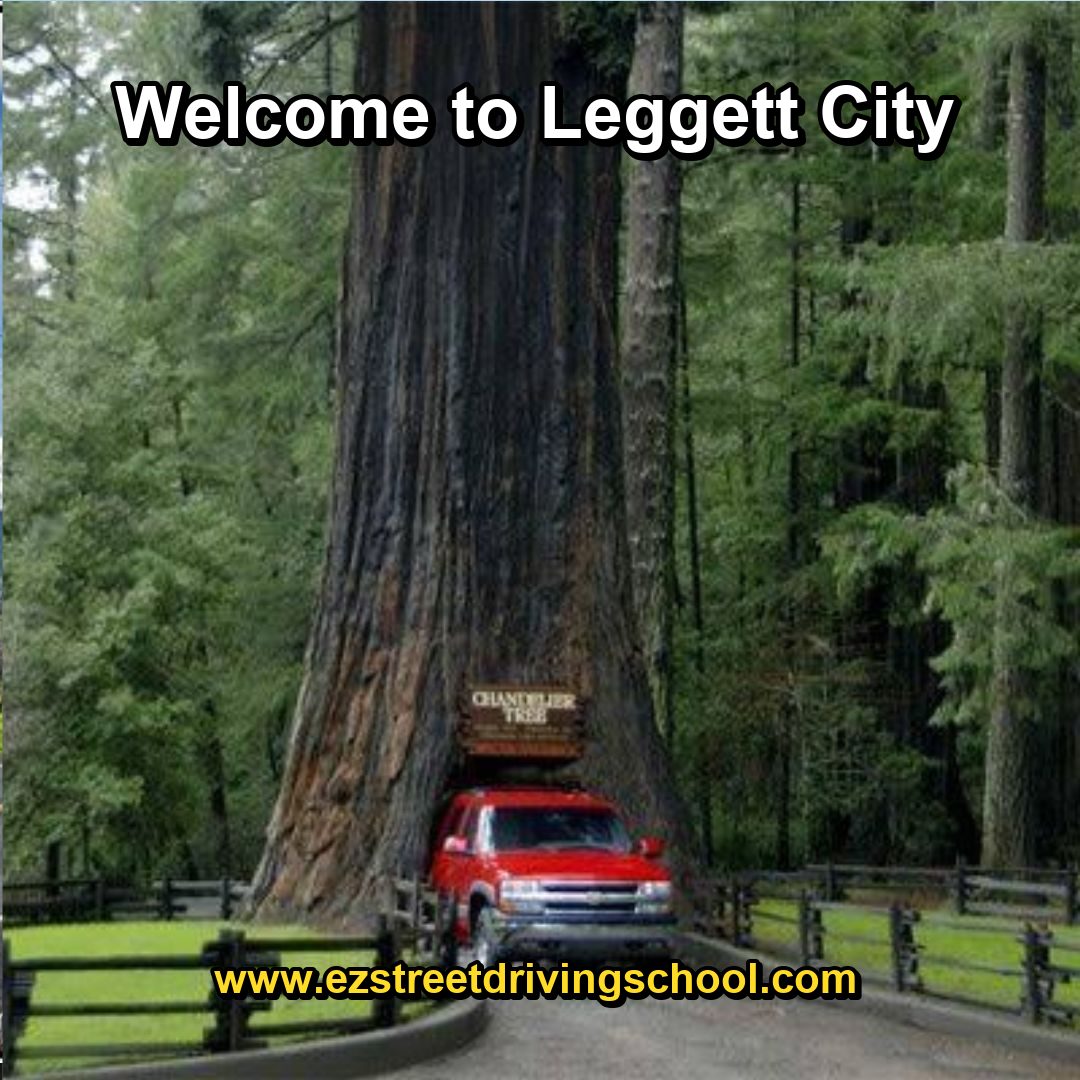Driving Lessons in Leggett