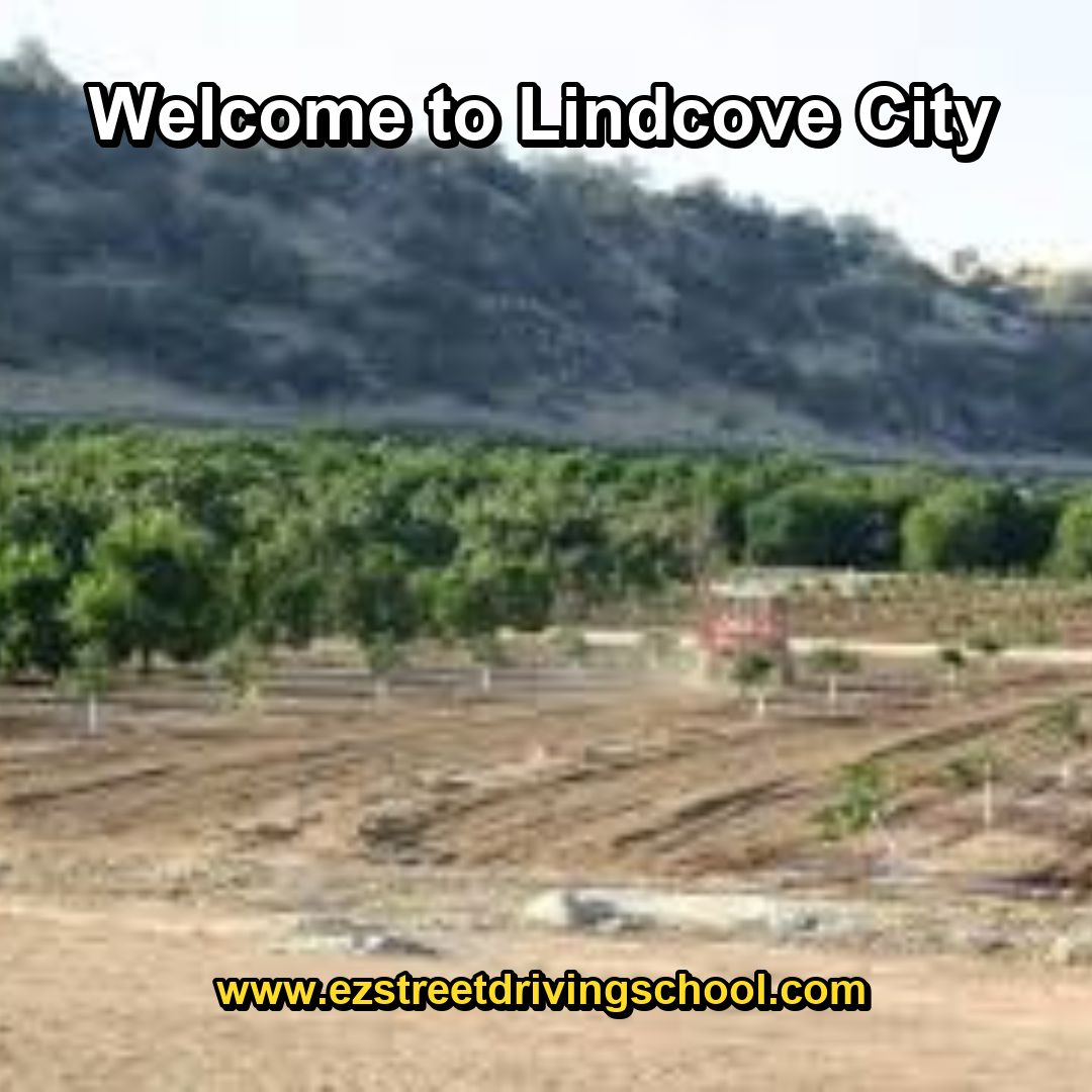 Driving Lessons in Lindcove