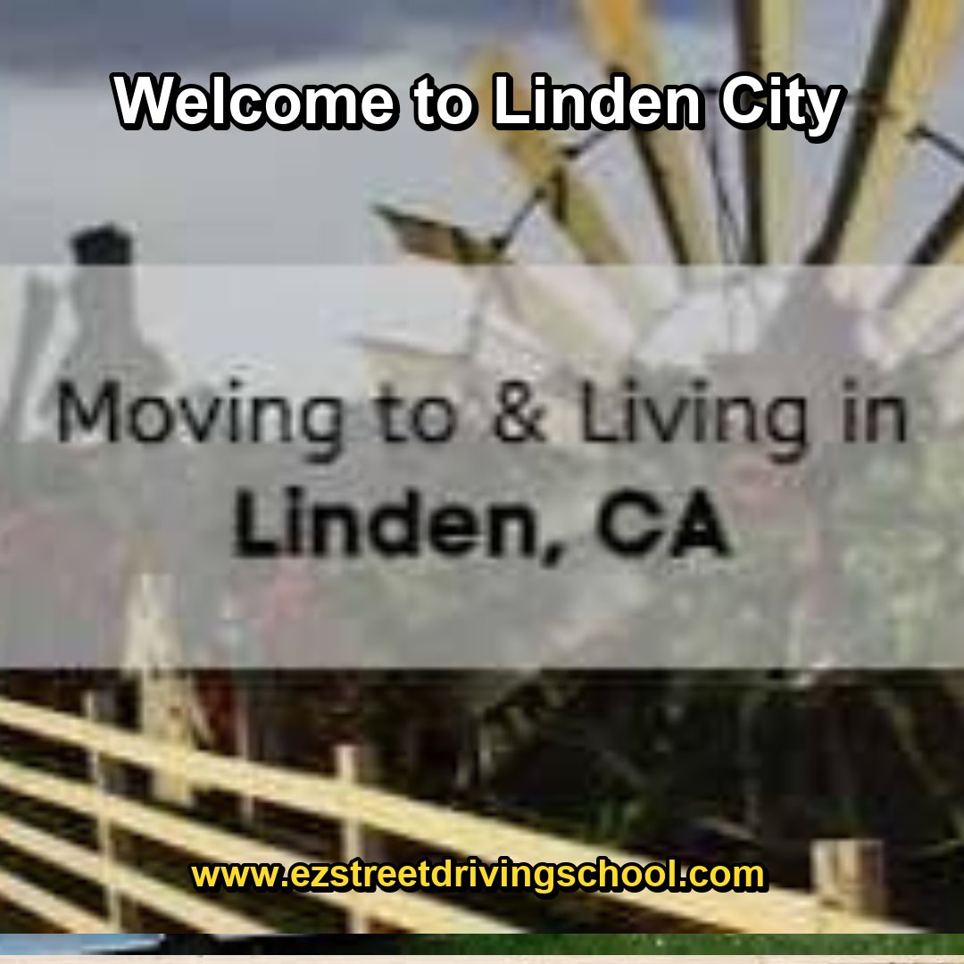 Driving Lessons in Linden