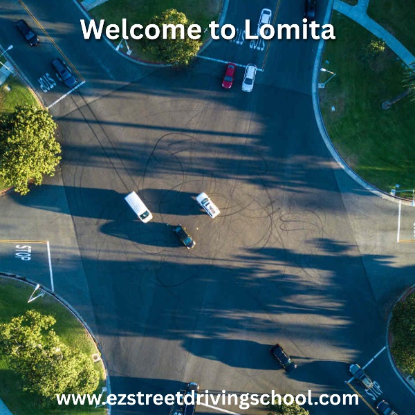 Driving Lessons in Lomita