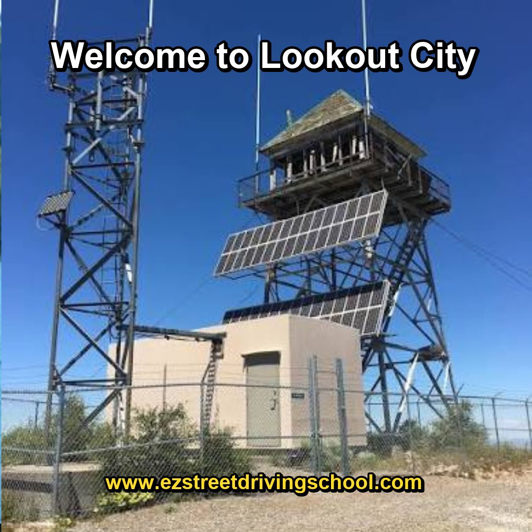 Driving Lessons in Lookout