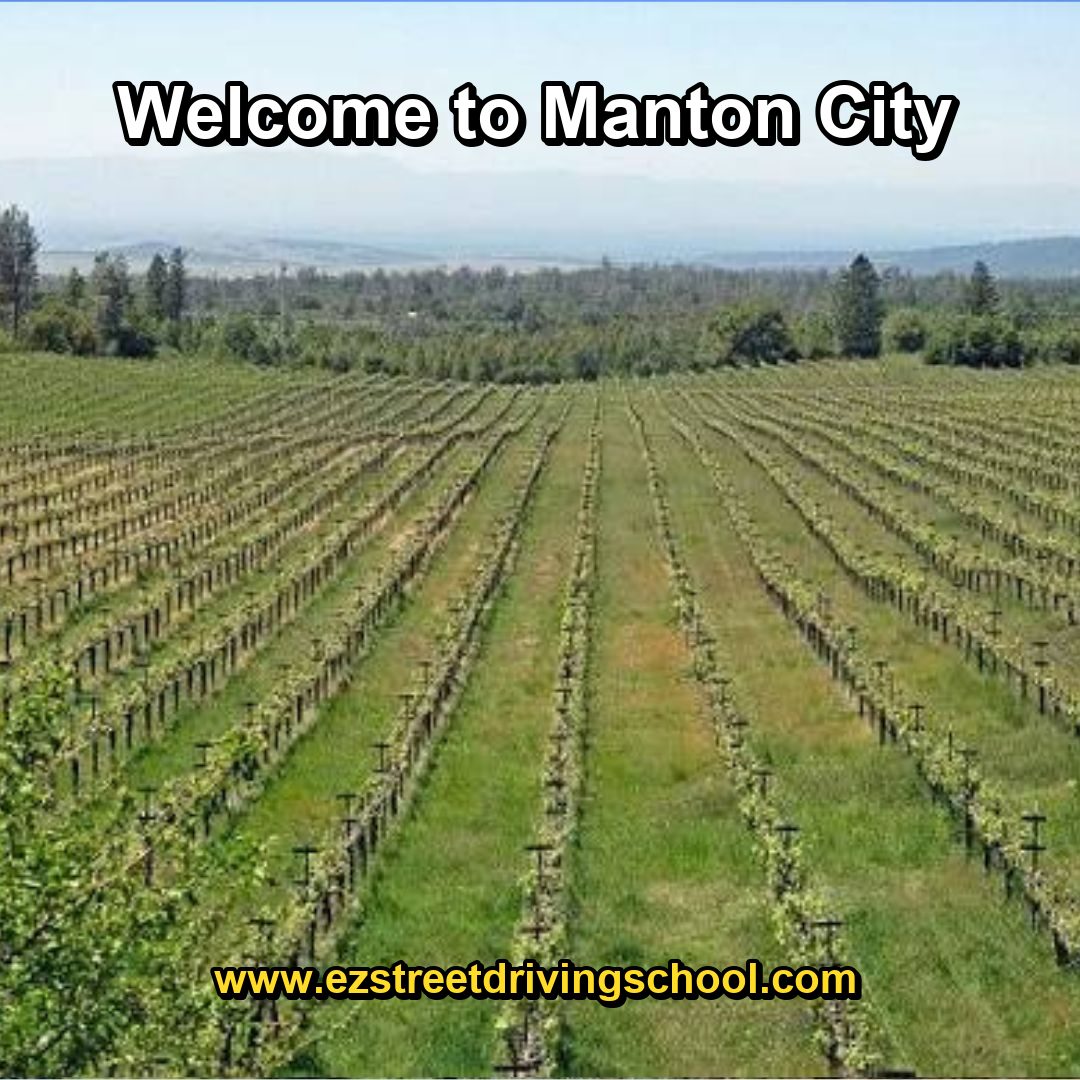 Driving Lessons in Manton