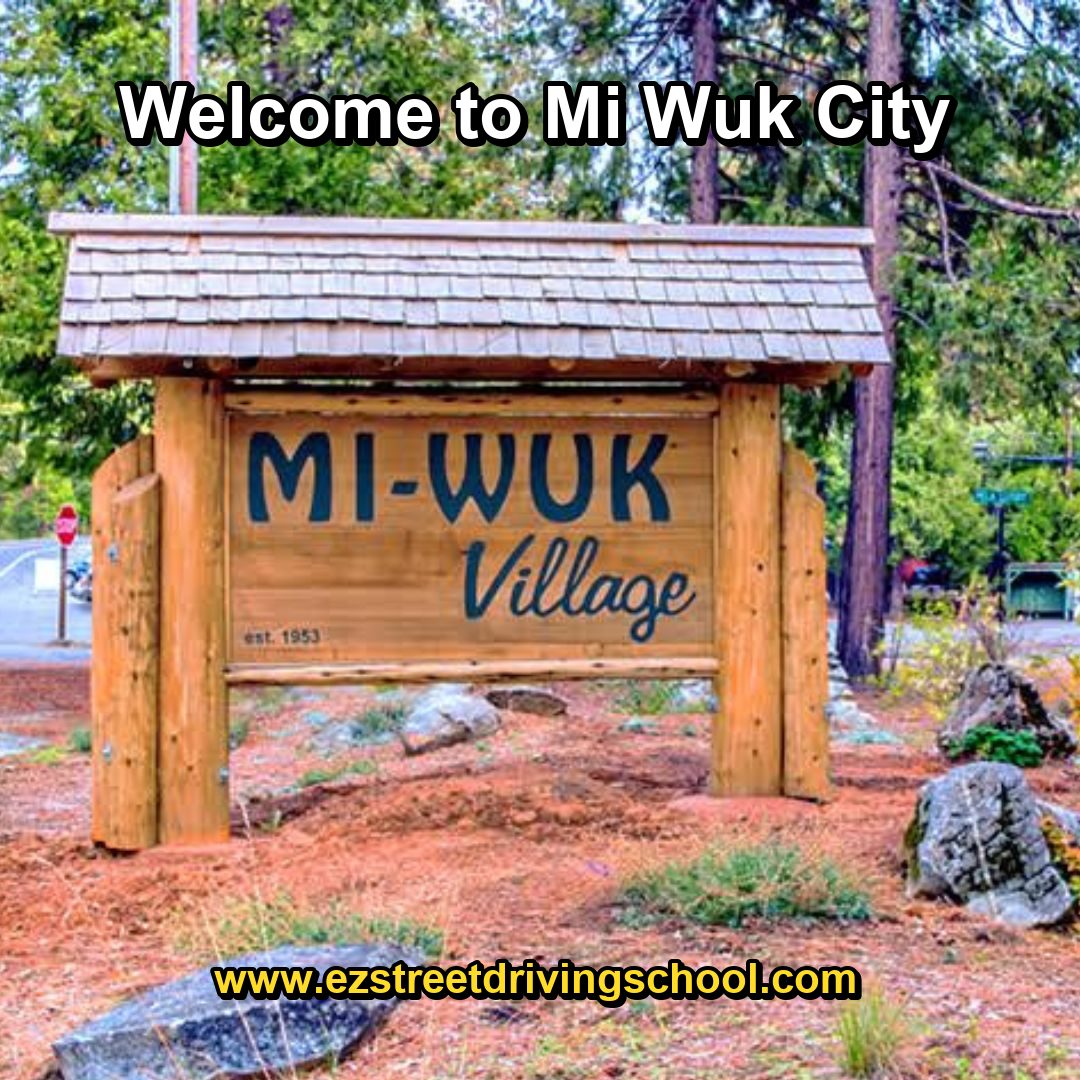 Driving Lessons in Mi-Wuk