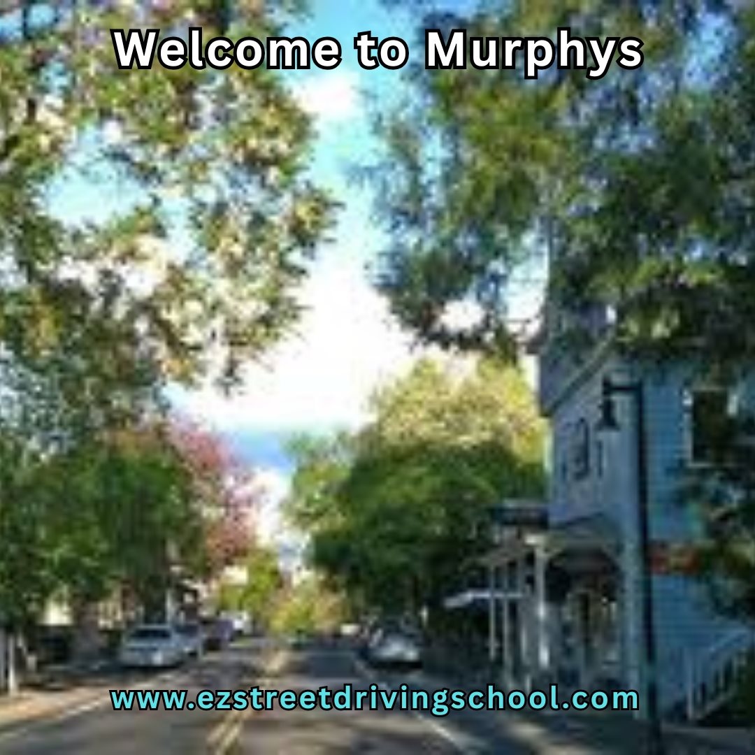 Driving Lessons in Murphys