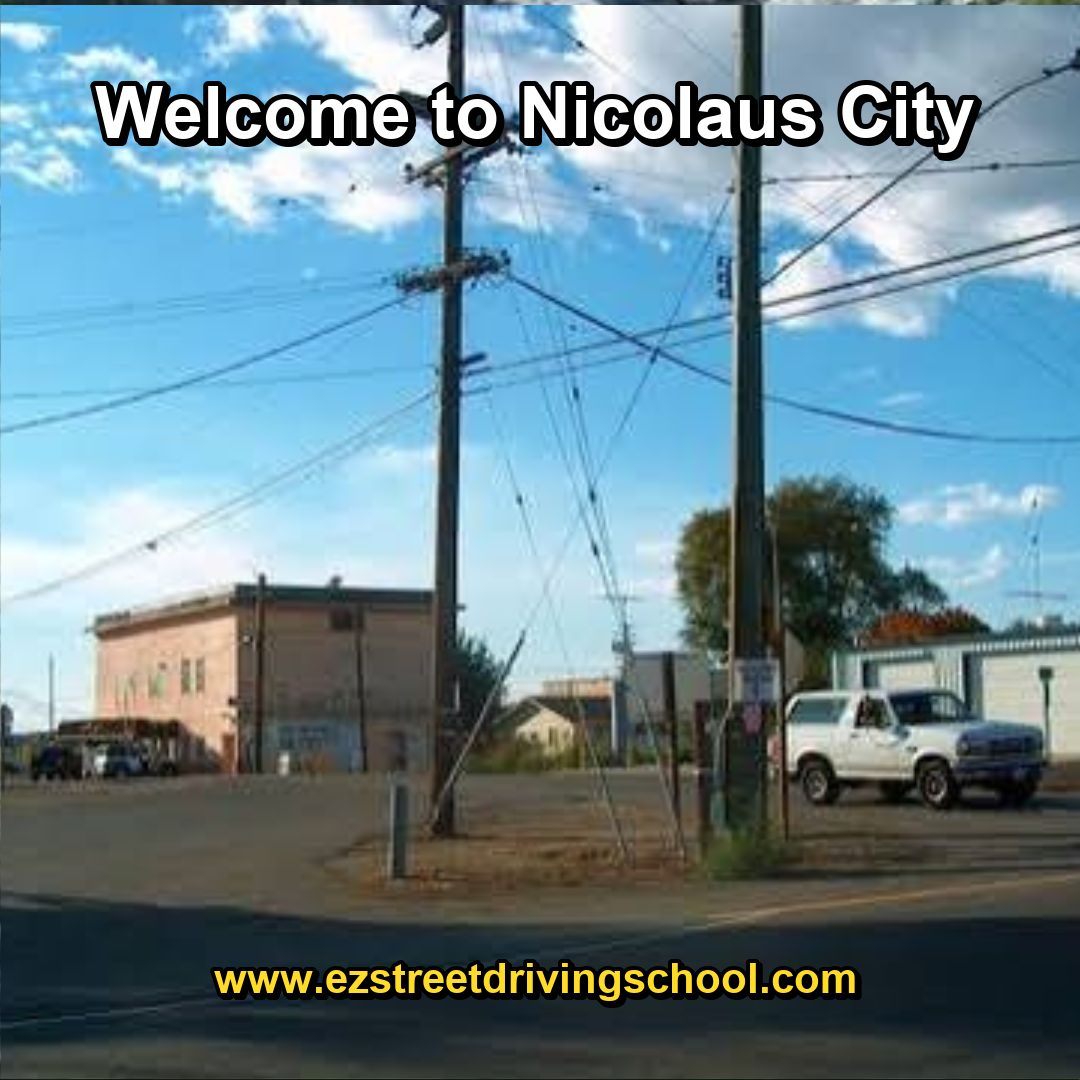 Driving Lessons in Nicolaus