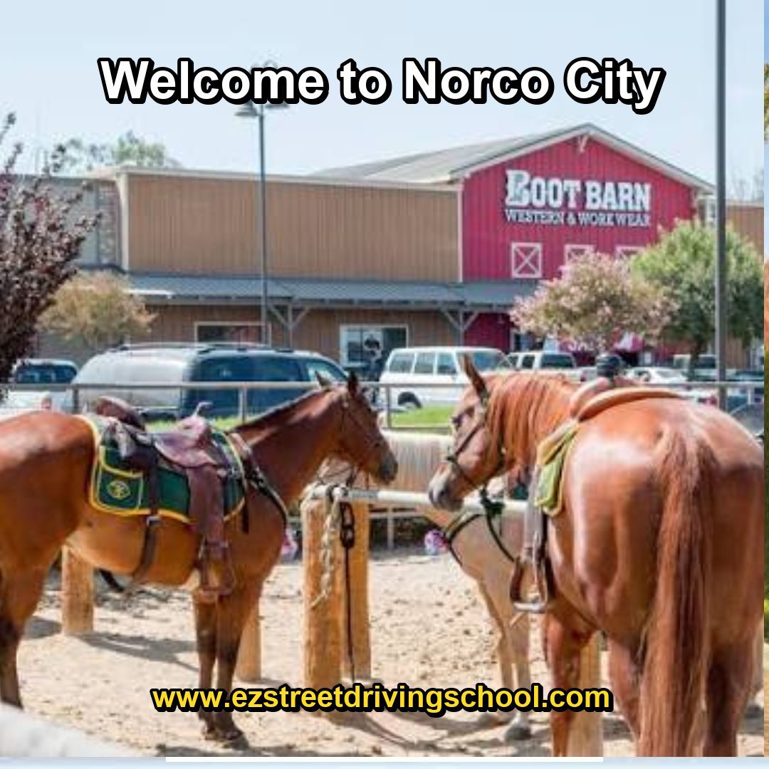 Driving Lessons in Norco