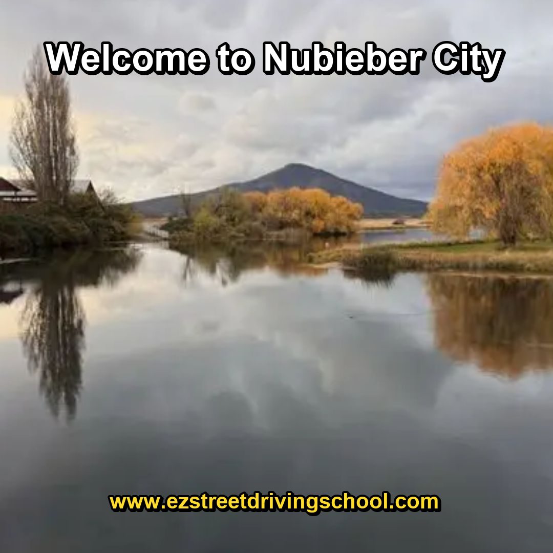 Driving Lessons in Nubieber