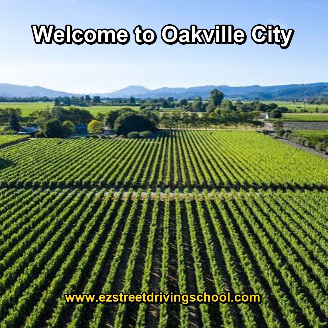 Driving Lessons in Oakville
