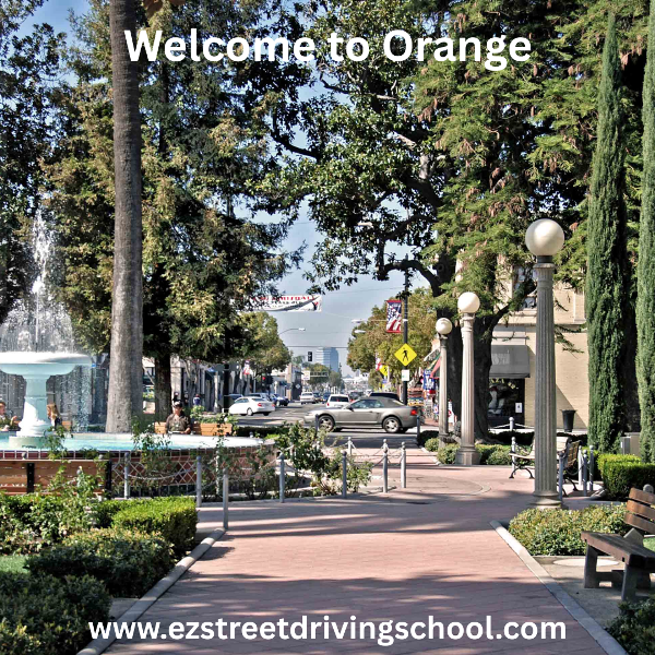 Driving Lessons in Orange