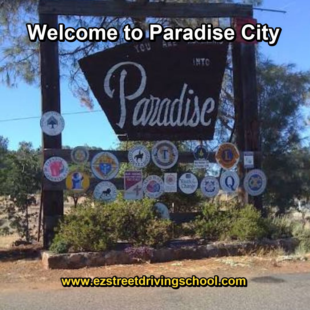 Driving Lessons in Paradise
