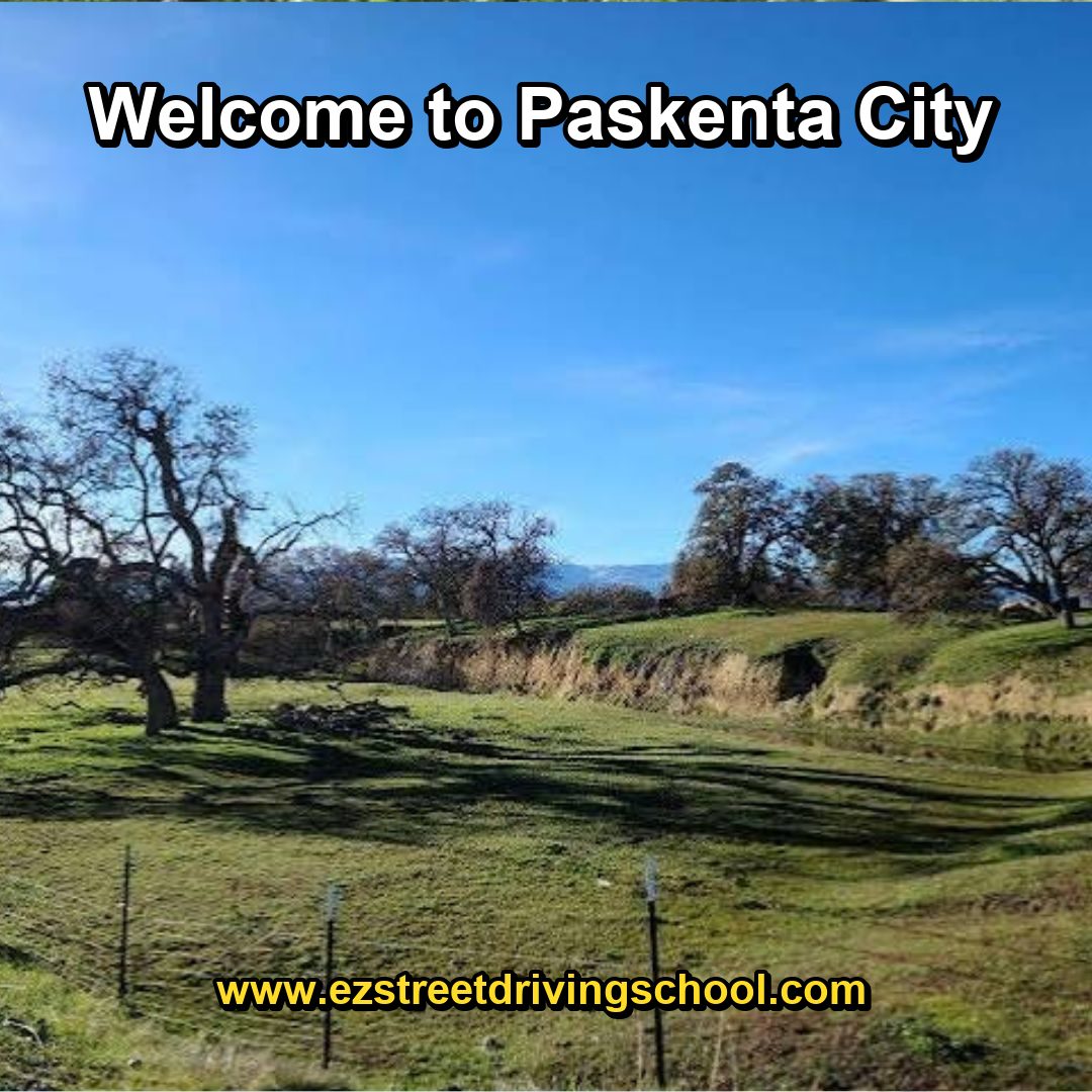 Driving Lessons in Paskenta