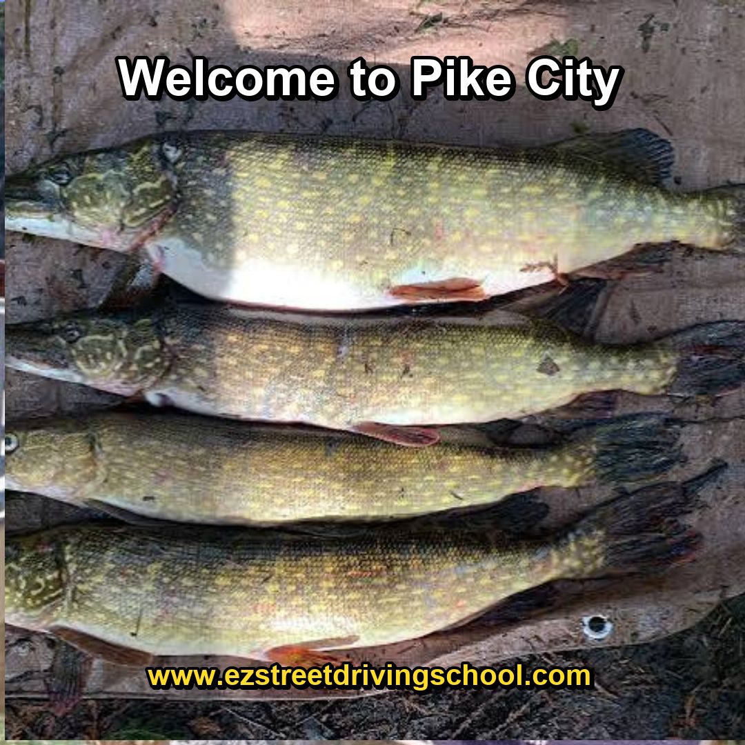 Driving Lessons in Pike