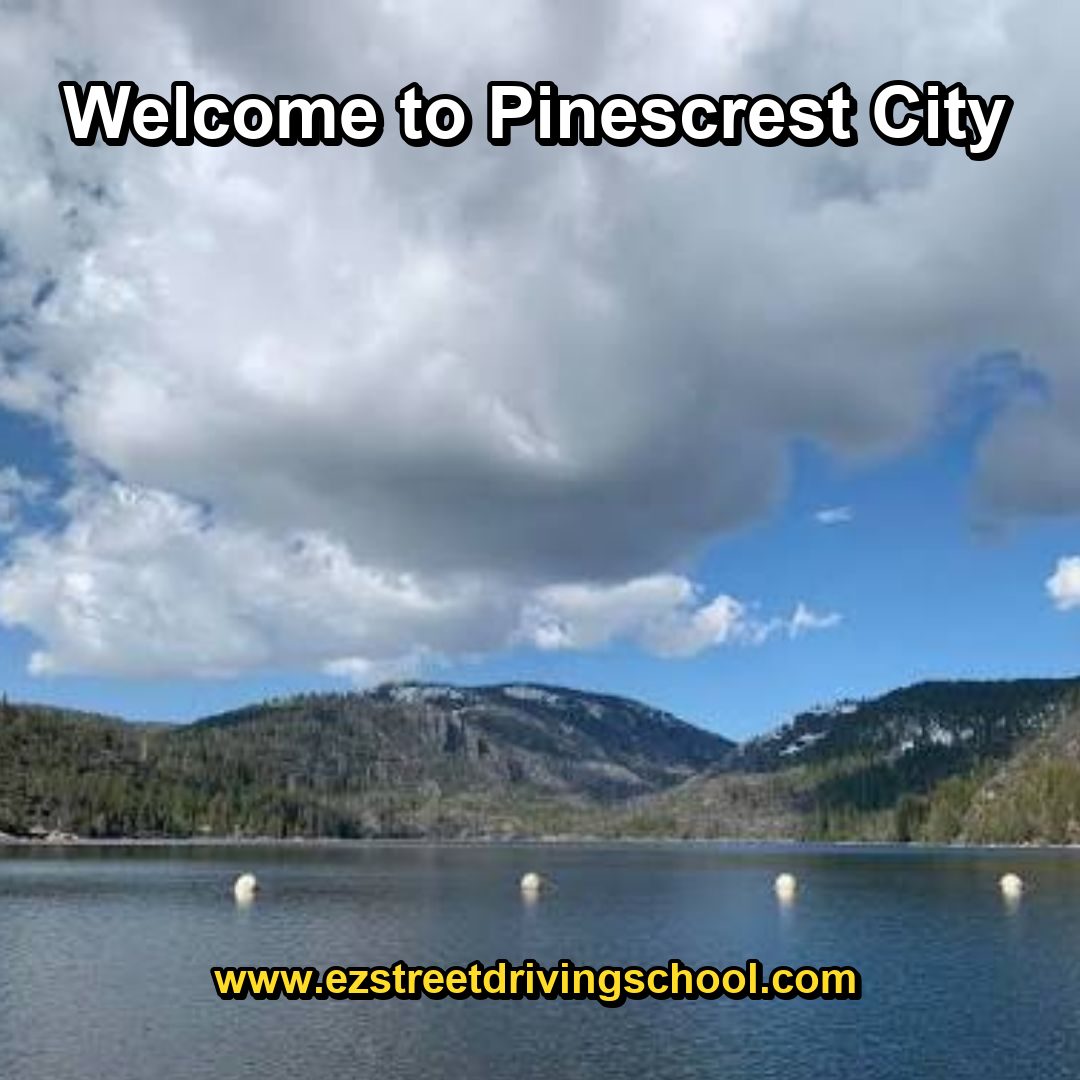 Driving Lessons in Pinescrest