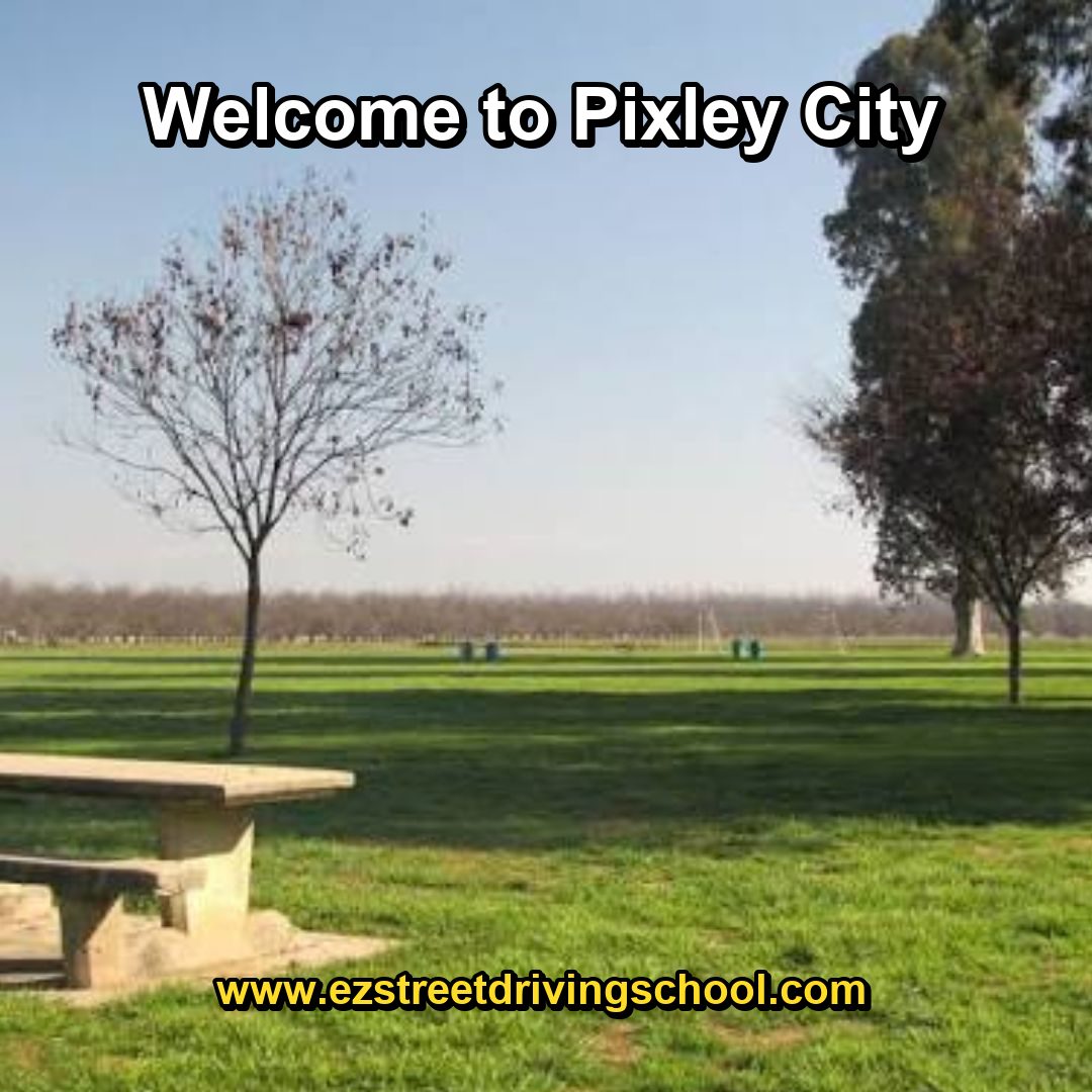 Driving Lessons in Pixley