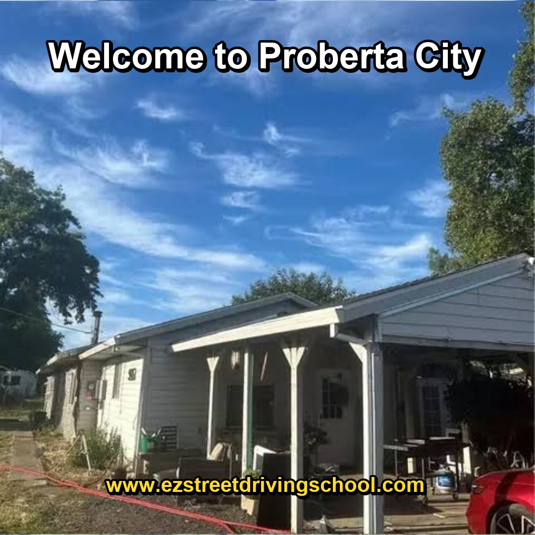 Driving Lessons in Proberta
