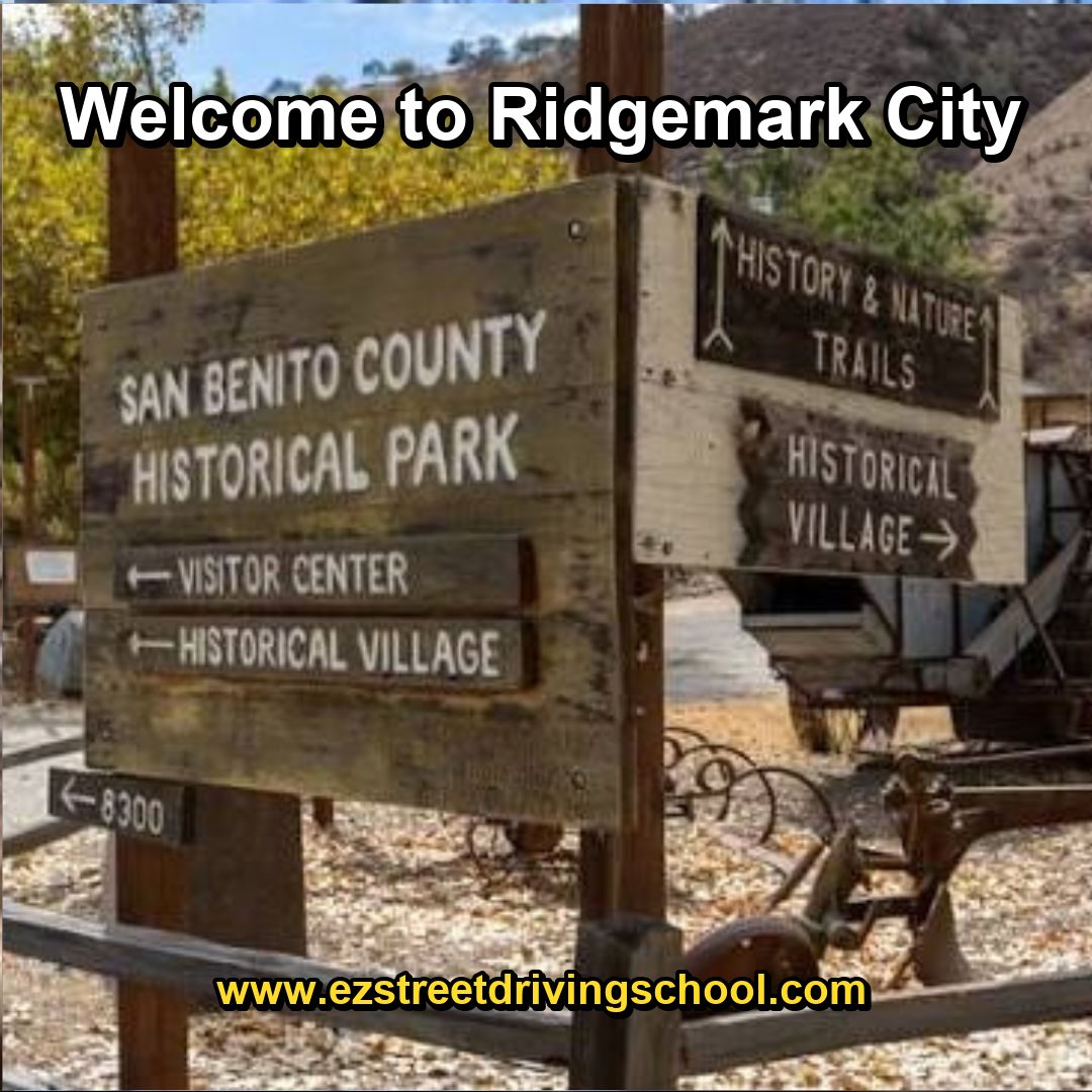 Driving Lessons in Ridgemark