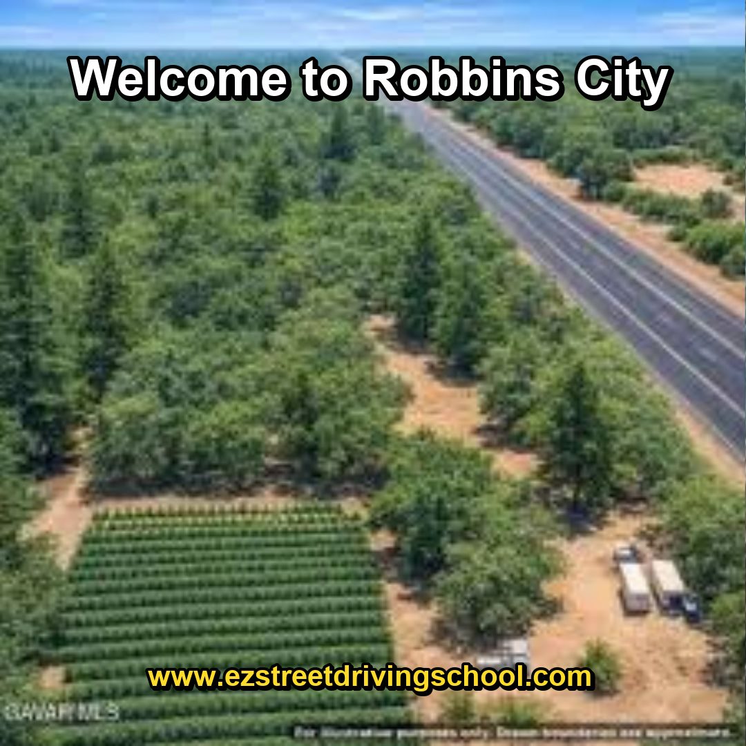 Driving Lessons in Robbins