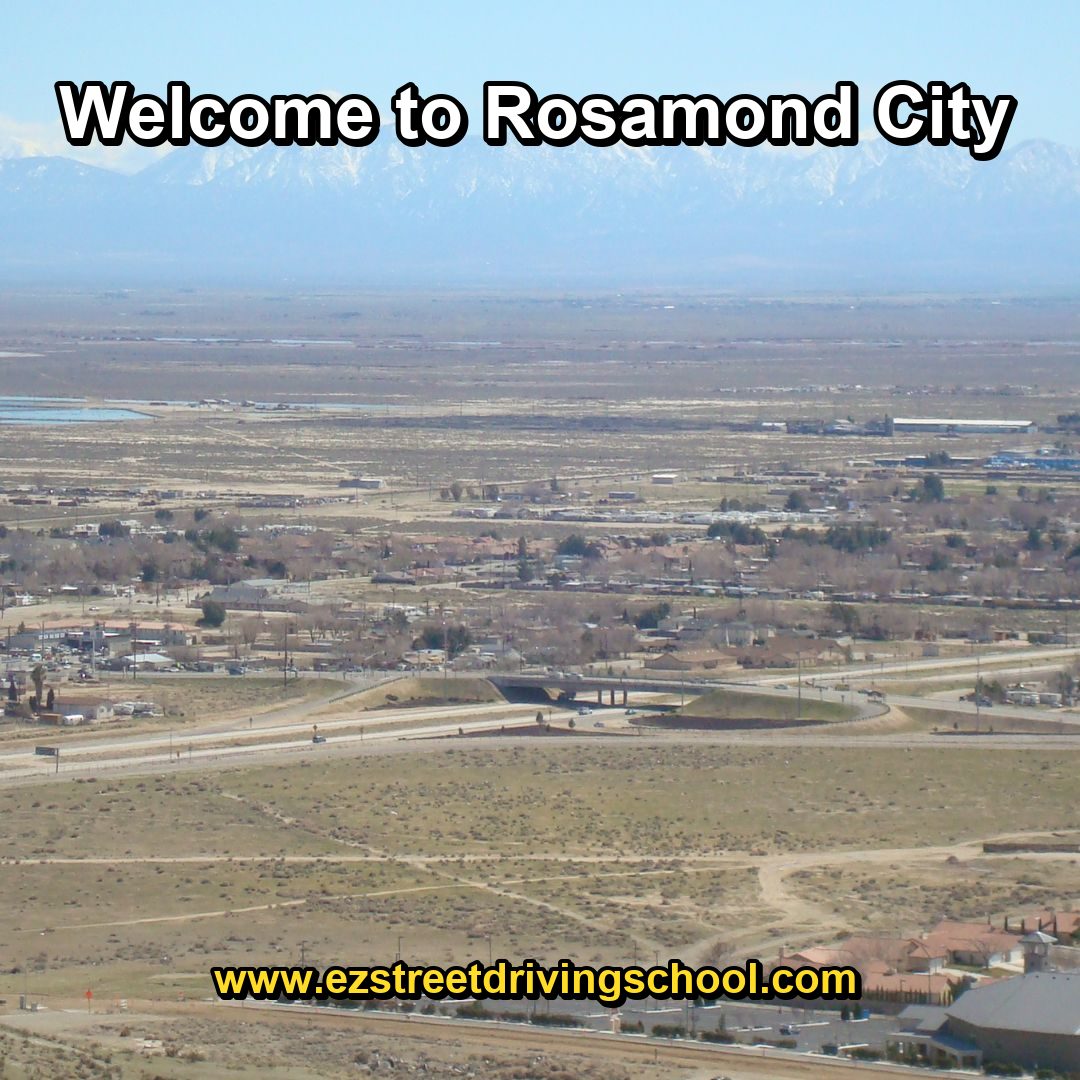 Driving Lessons in Rosamond