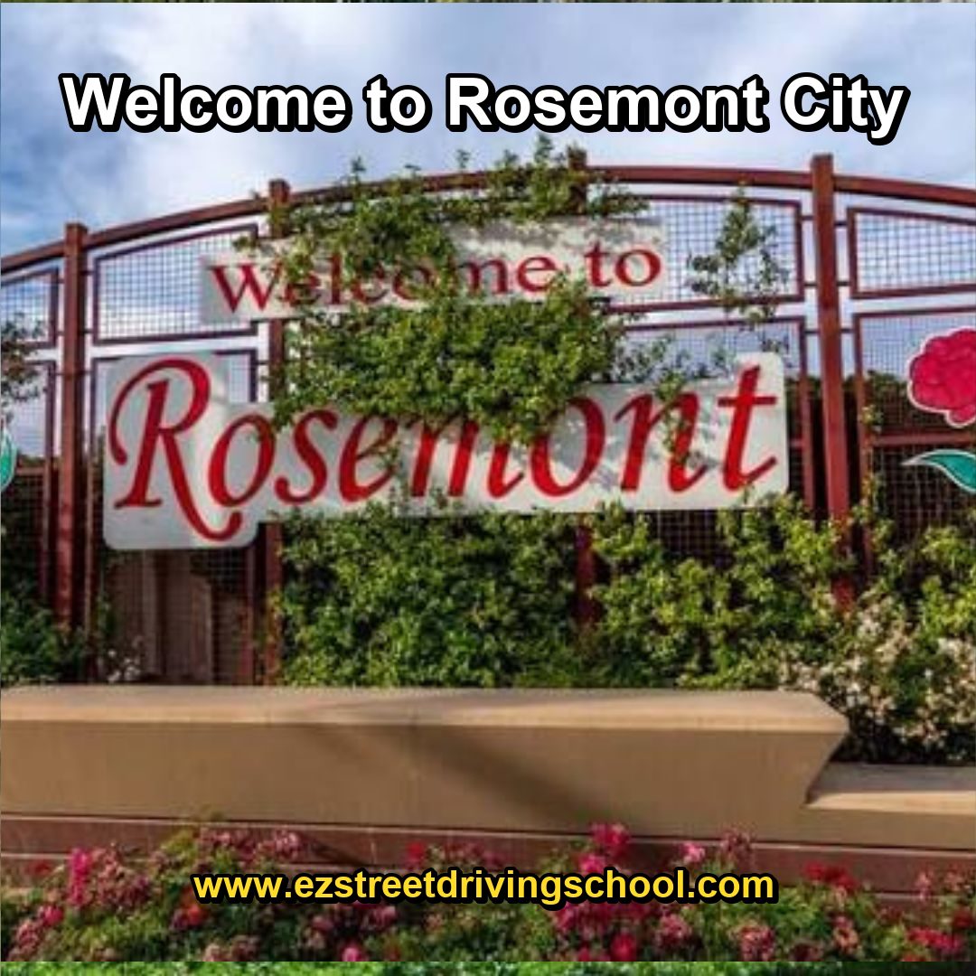 Driving Lessons in Rosemont