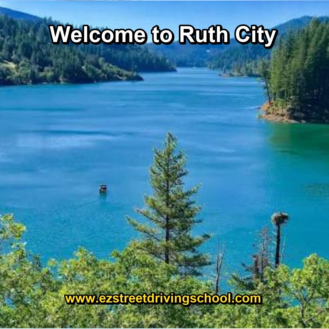 Driving Lessons in Ruth