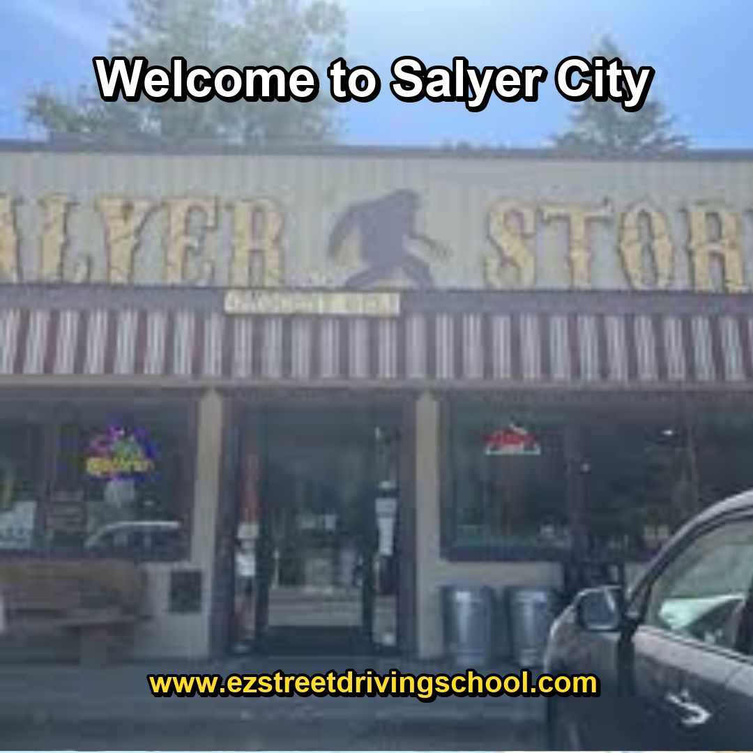 Driving Lessons in Salyer