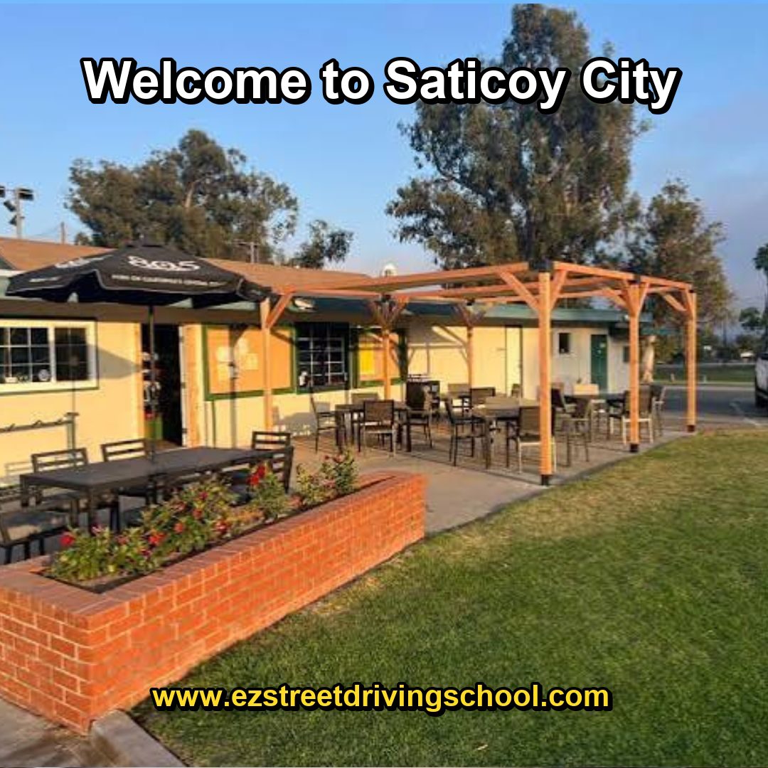Driving Lessons in Saticoy
