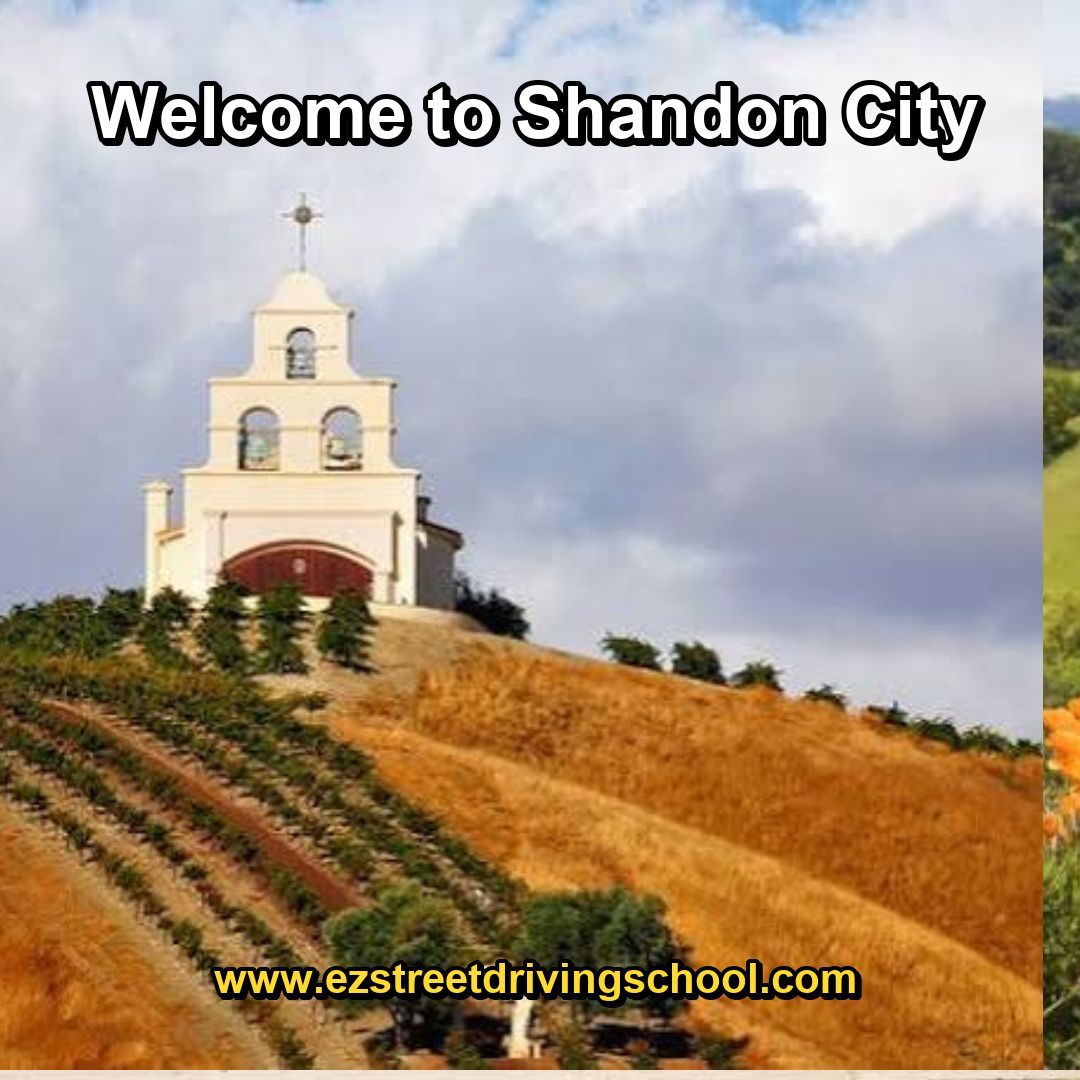Driving Lessons in Shandon