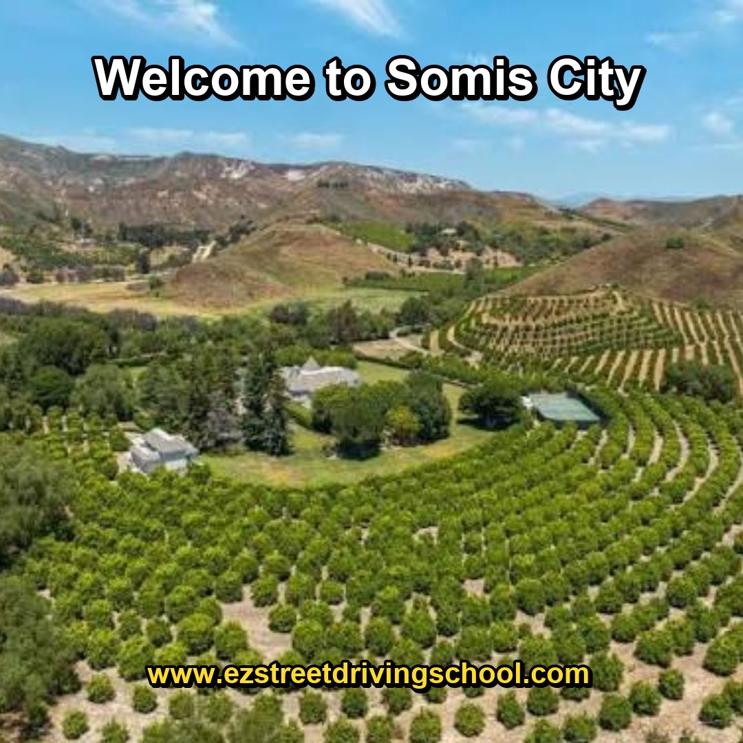 Driving Lessons in Somis