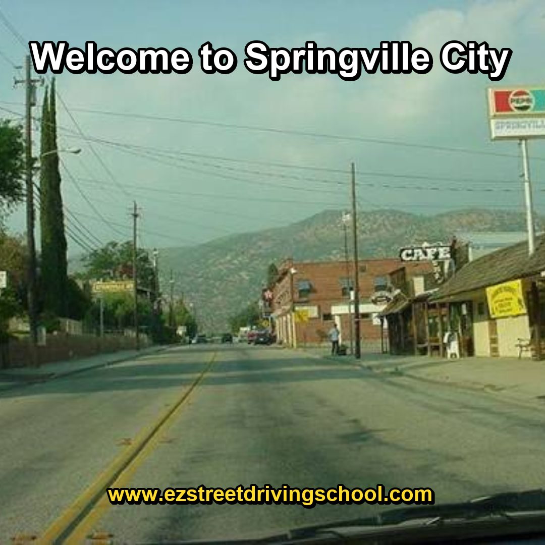 Driving Lessons in Springville