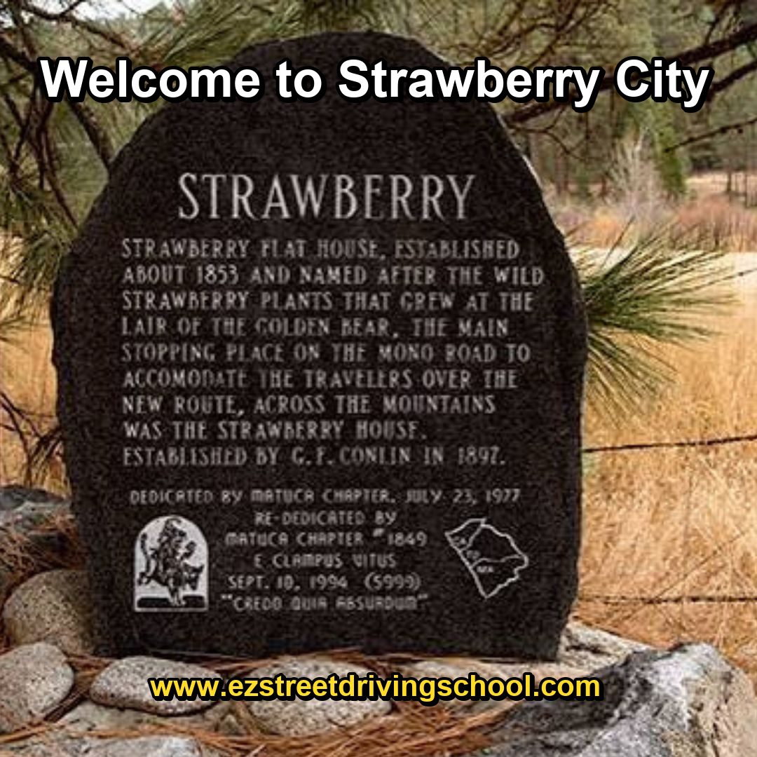 Driving Lessons in Strawberry