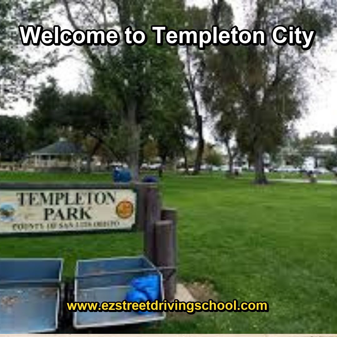 Driving Lessons in Templeton
