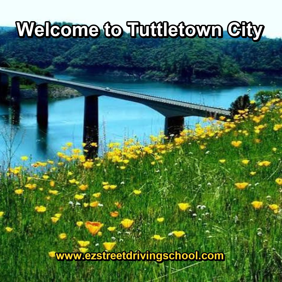 Driving Lessons in Tuttletown