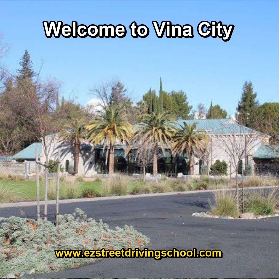 Driving Lessons in Vina