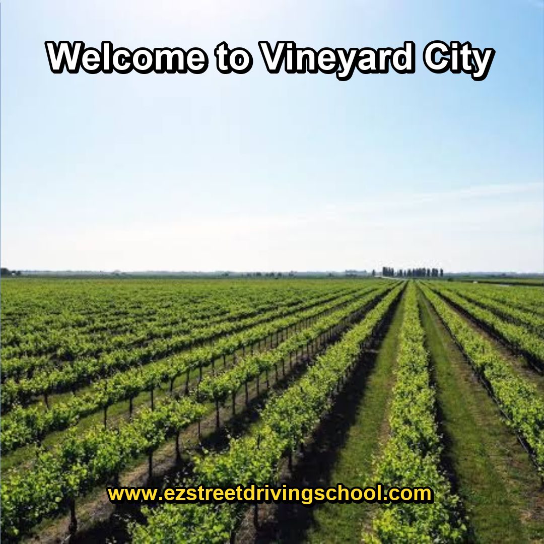 Driving Lessons in Vineyard