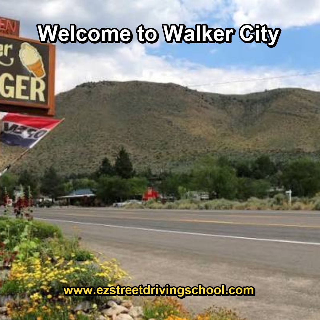 Driving Lessons in Walker