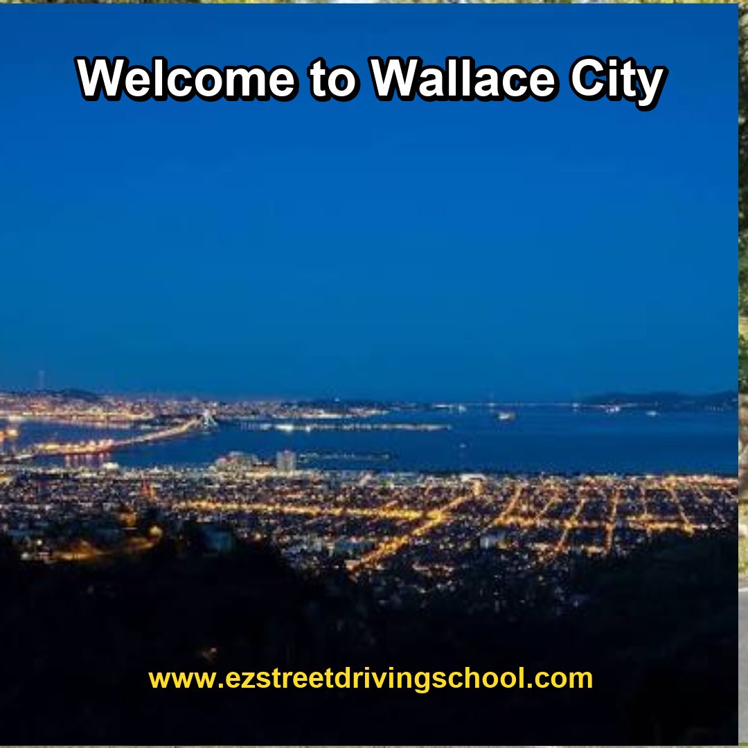 Driving Lessons in Wallace