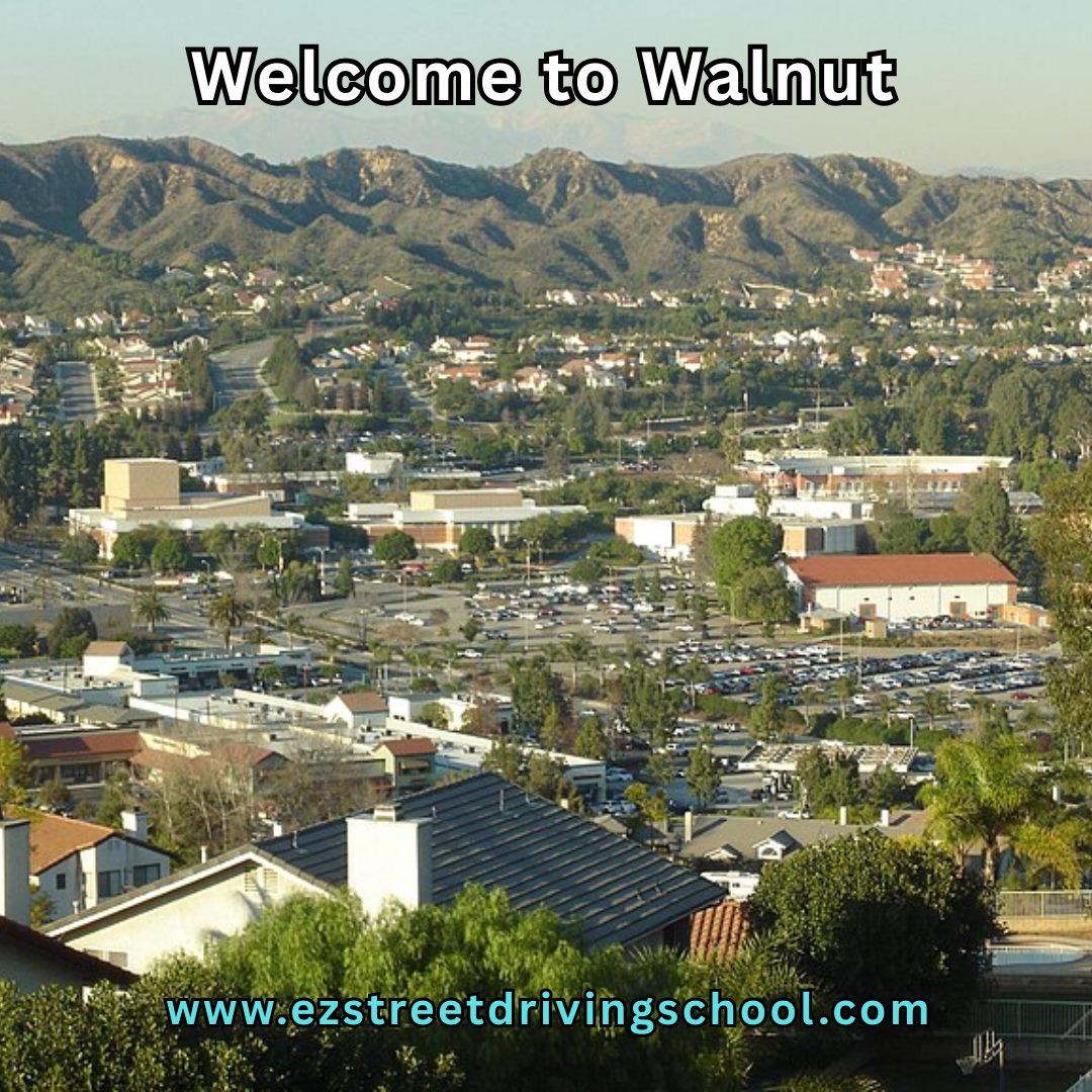 Driving Lessons in Walnut