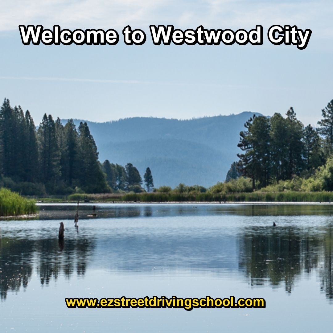 Driving Lessons in Westwood