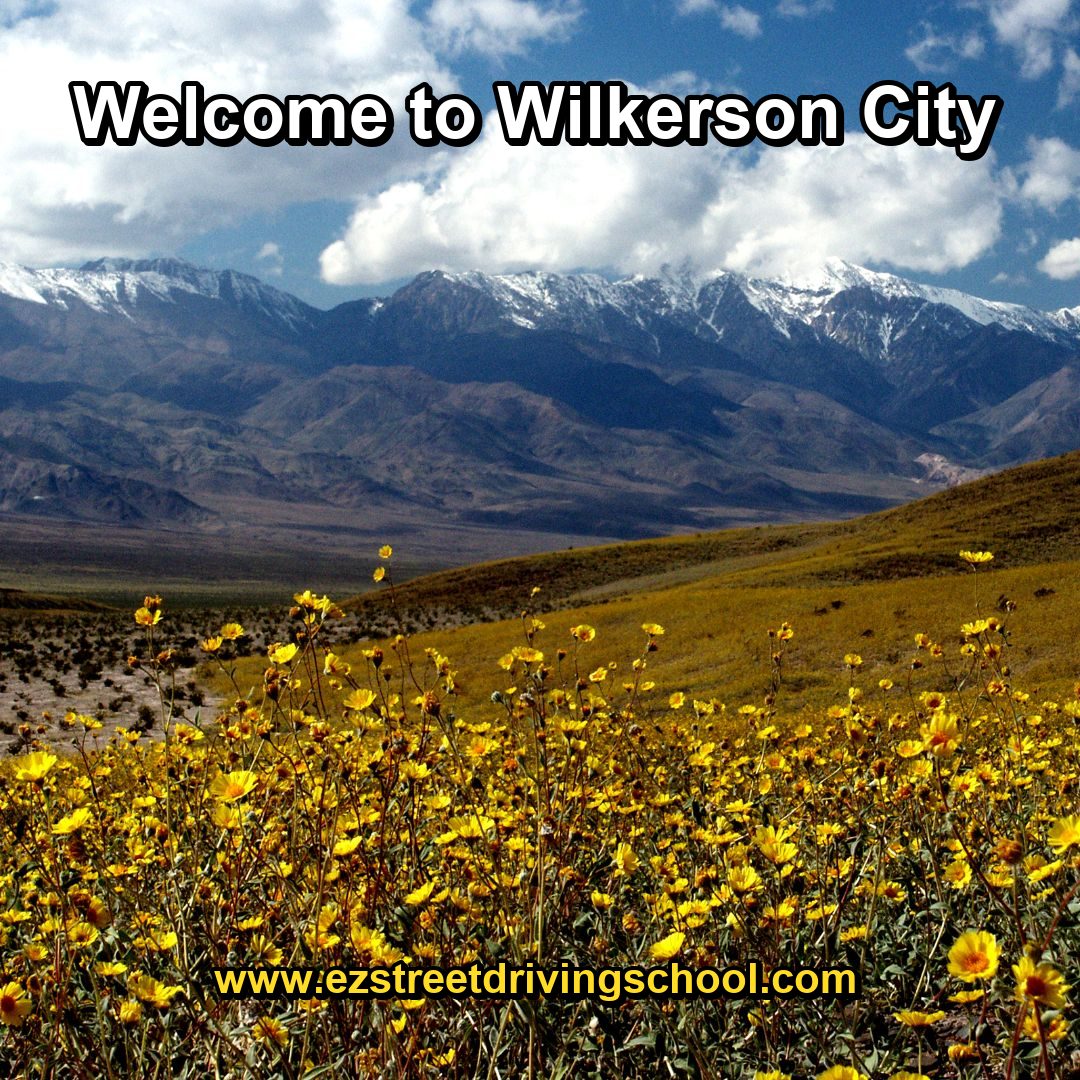Driving Lessons in Wilkerson