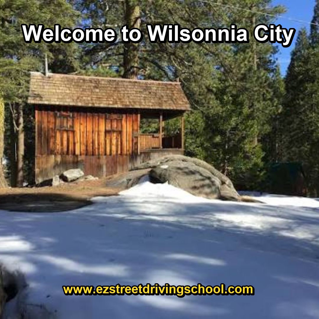 Driving Lessons in Wilsonnia
