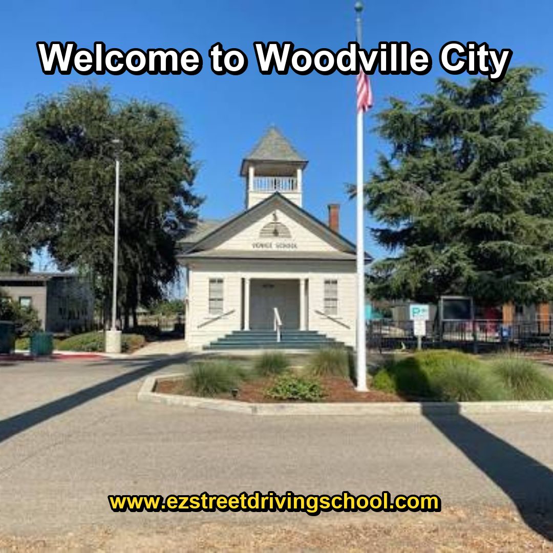 Driving Lessons in Woodville
