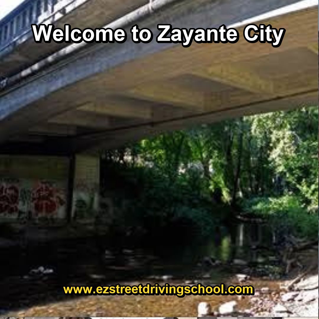 Driving Lessons in Zayante