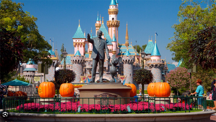 Driving Lessons in Anaheim